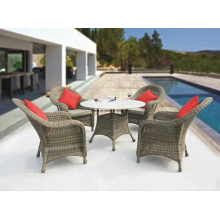 Home Garden Rattan Set para Outdoor